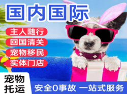 昭通航空物流国际宠物托运 【国